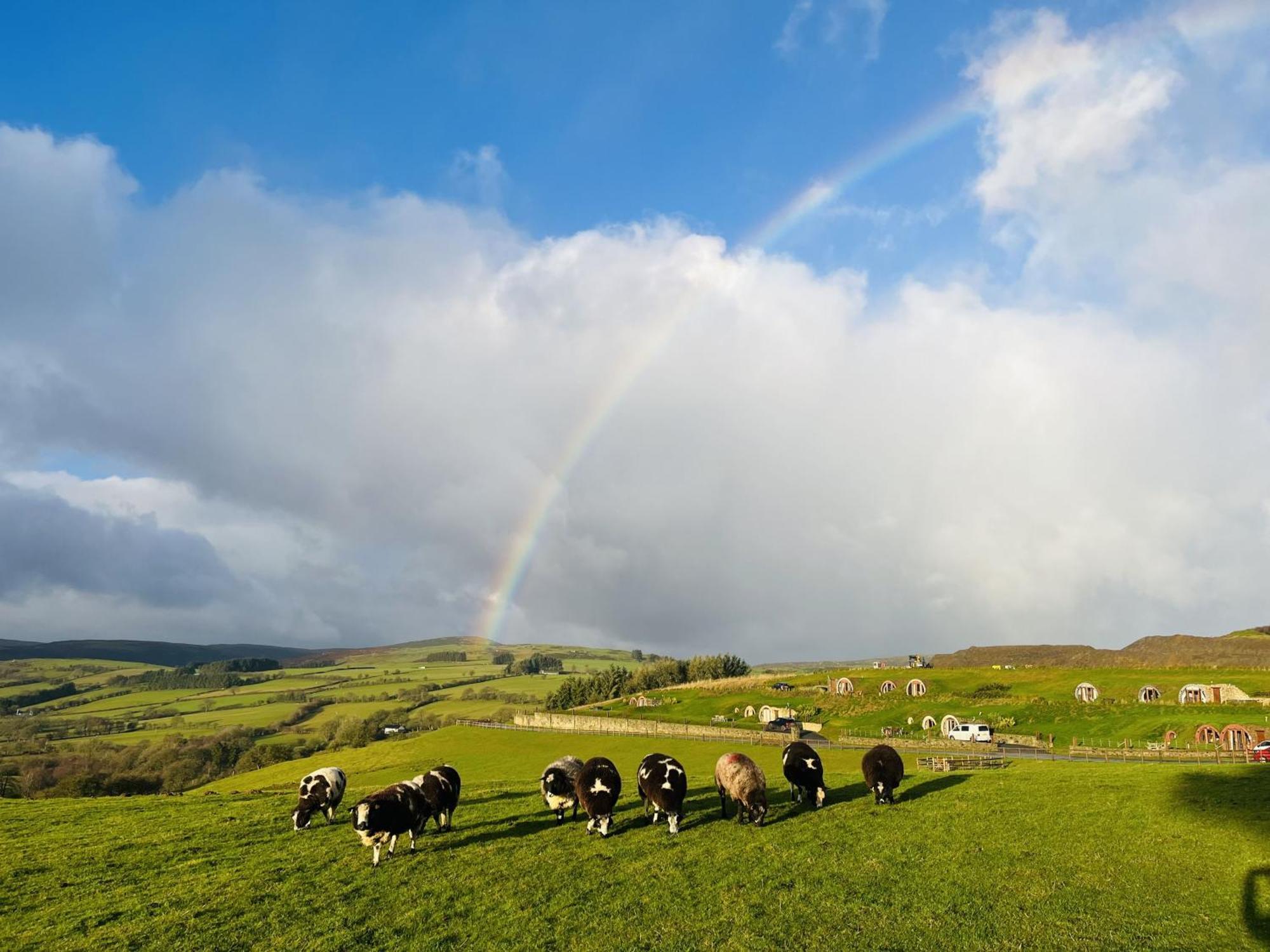 Shepherds View Rhayader Esterno foto